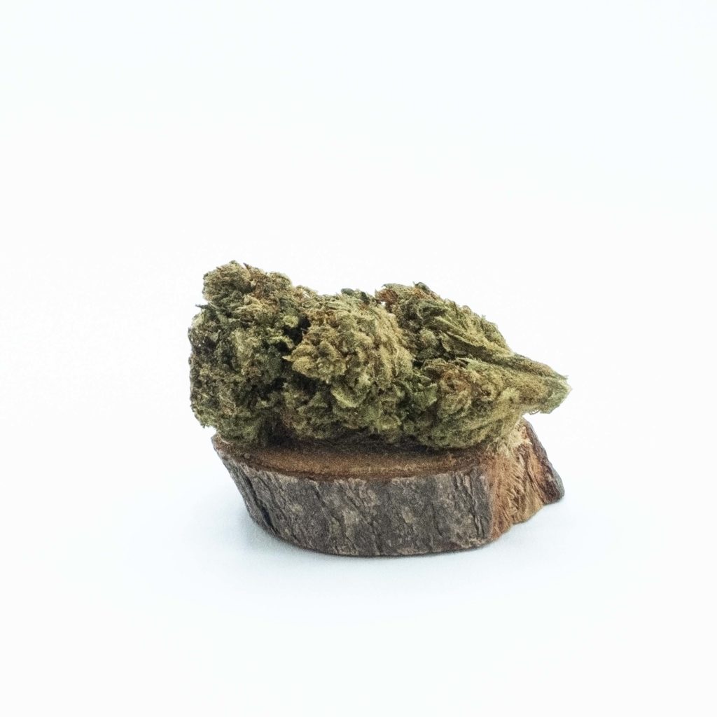 fleurs de CBD Gorilla