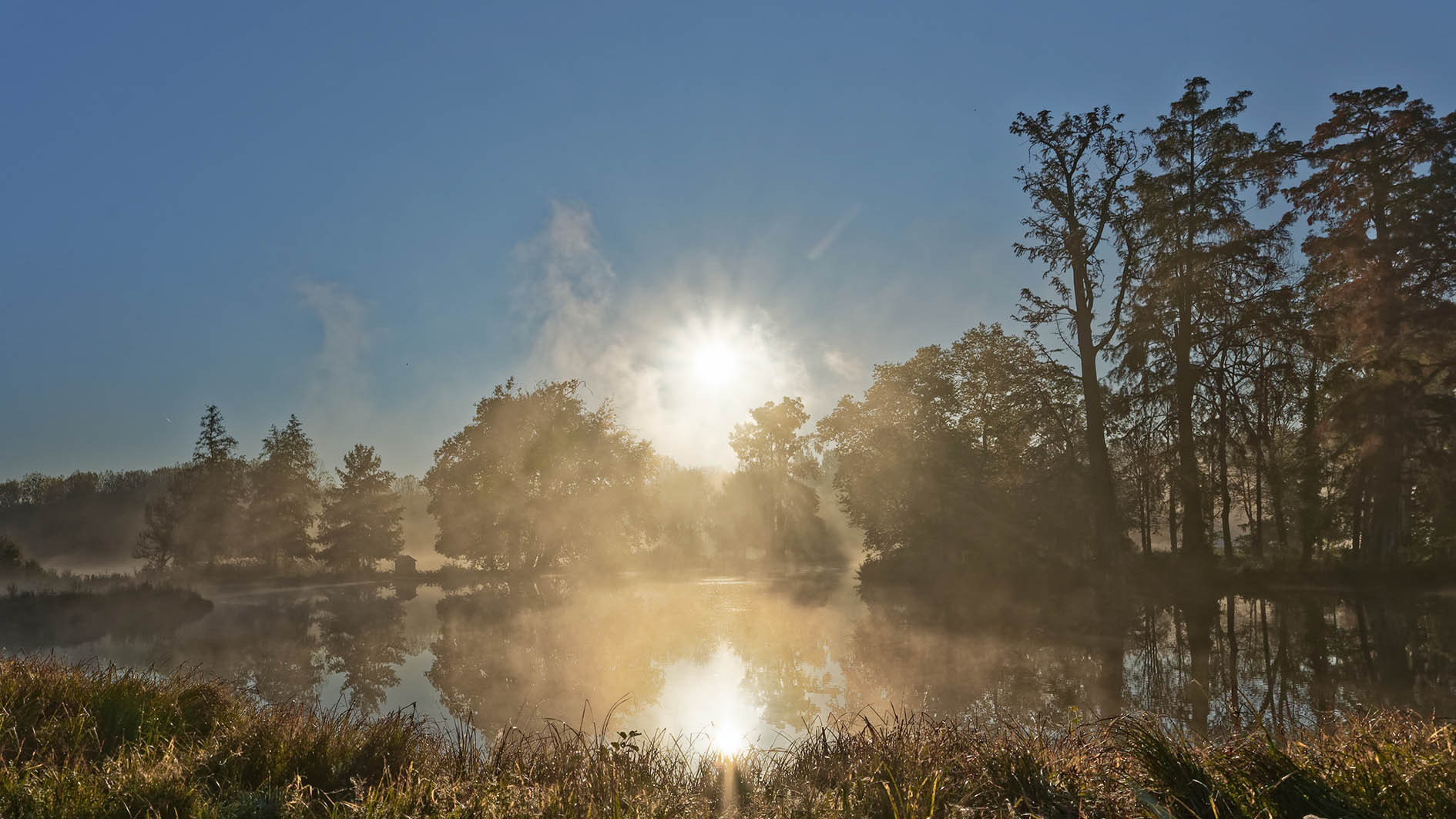 commencement aife cbd