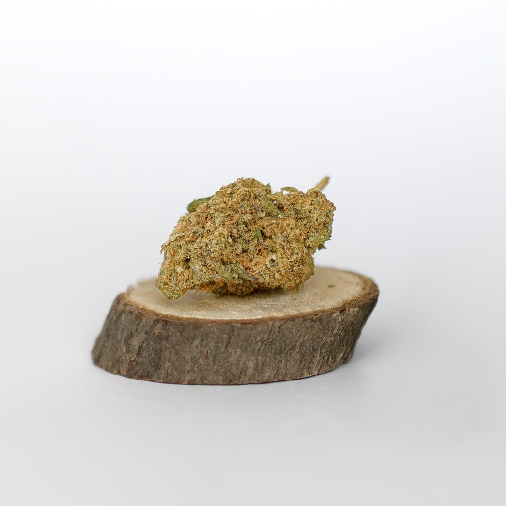 fleurs de CBD Monster Kush