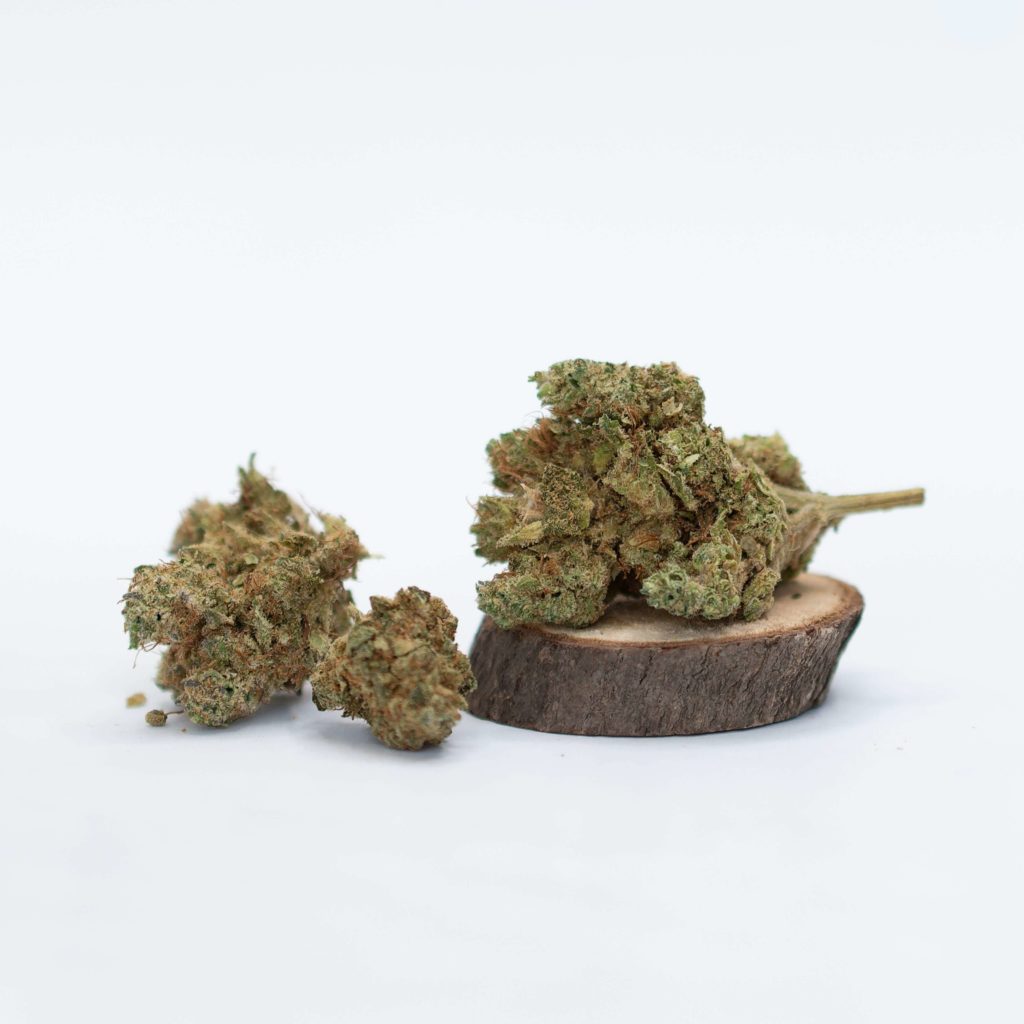 fleurs cannabis weed cbd northern light