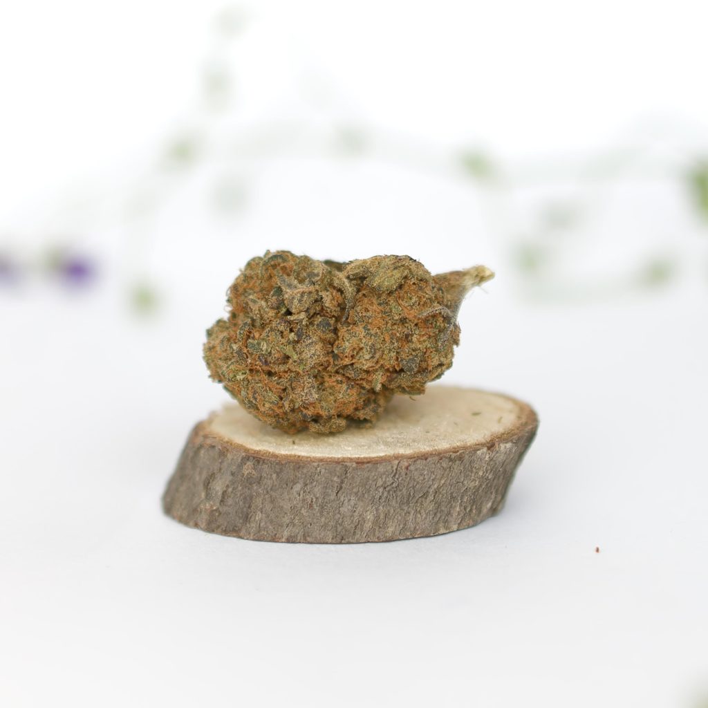 fleurs de CBD Purple Kali