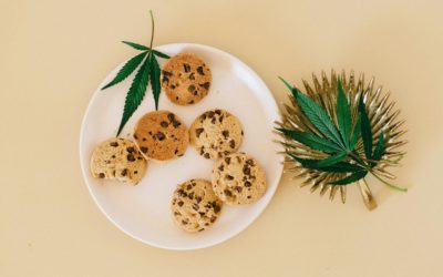 Comment consommer les fleurs de CBD ?