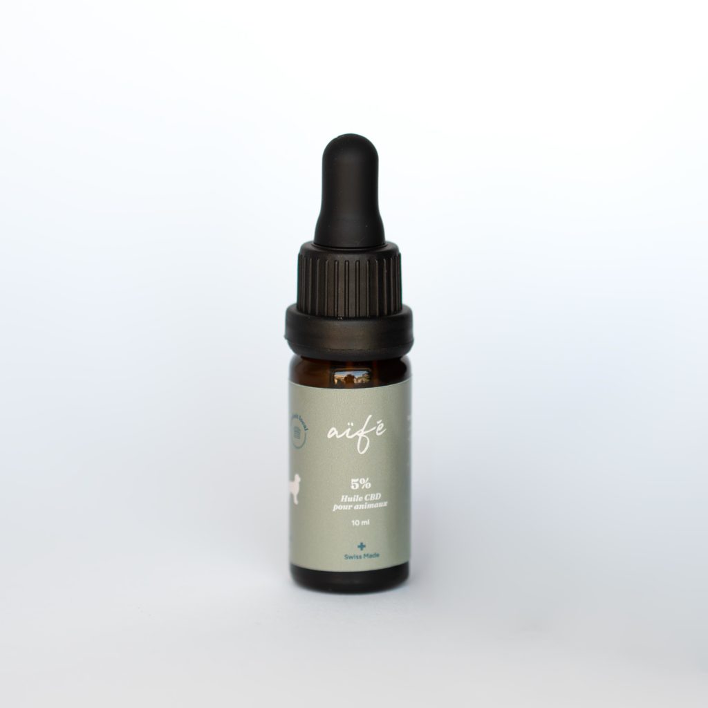 Flacon d’huile de CBD 5 % pour chiens de grand gabarit sur fond neutre