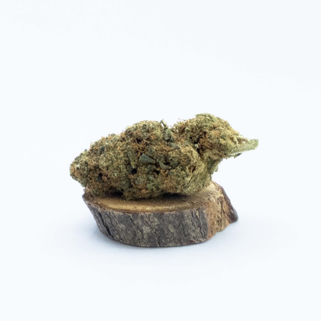 fleurs de CBD Amnesia