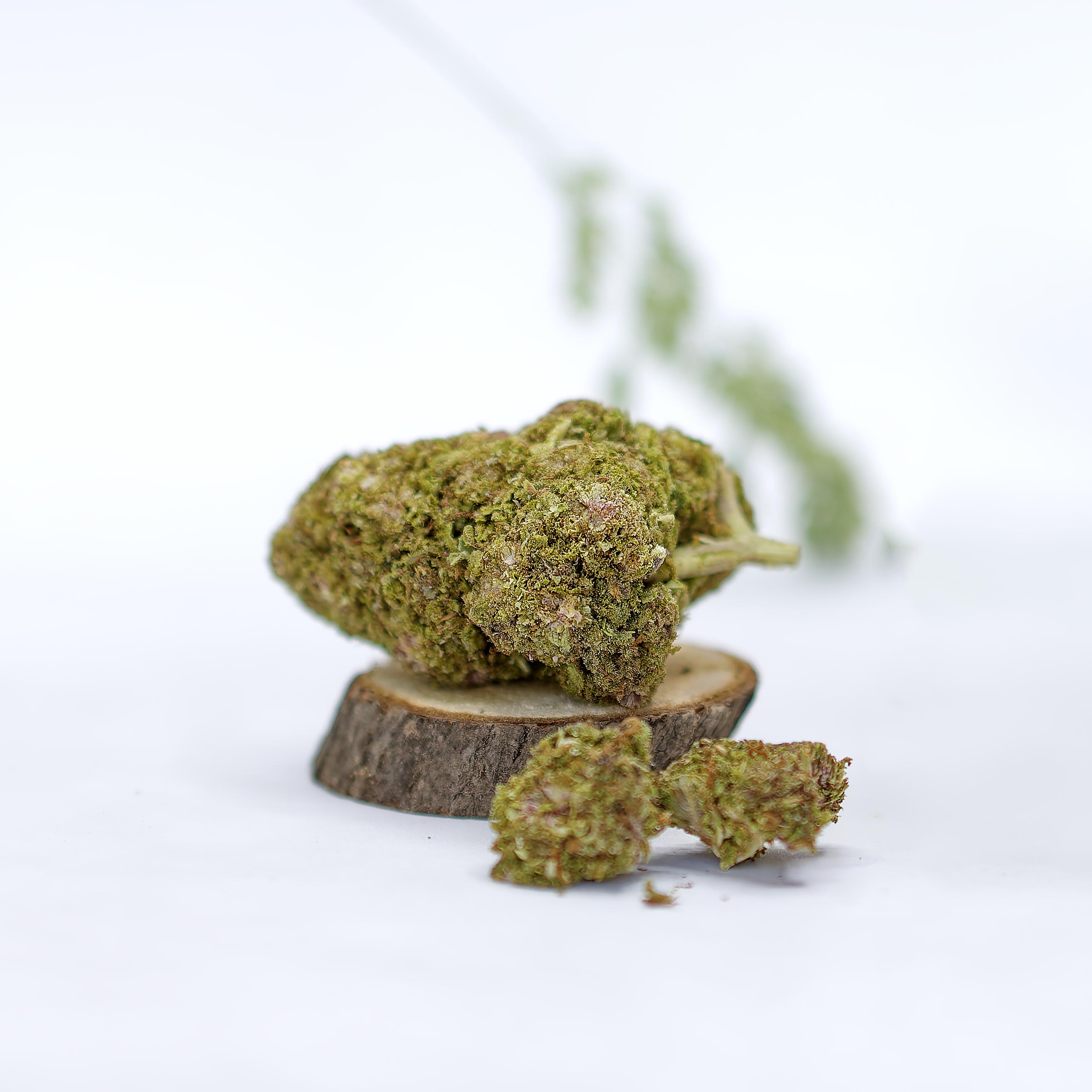 fleurs de CBD Purple Punch