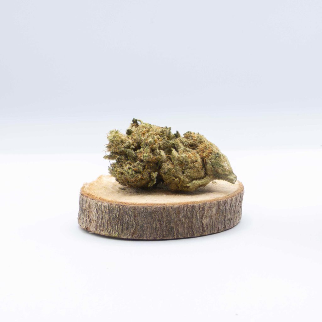 Fleurs de CBD indoor Lemon Tonic 27%